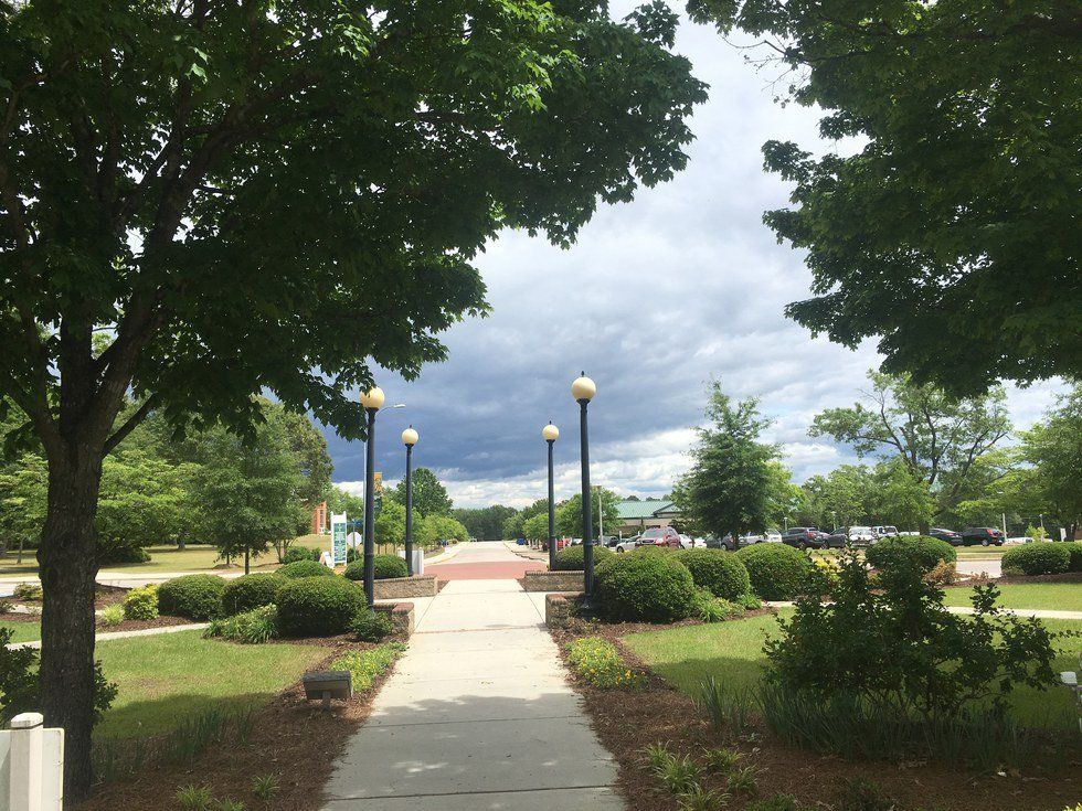 Freshmore Year in Review