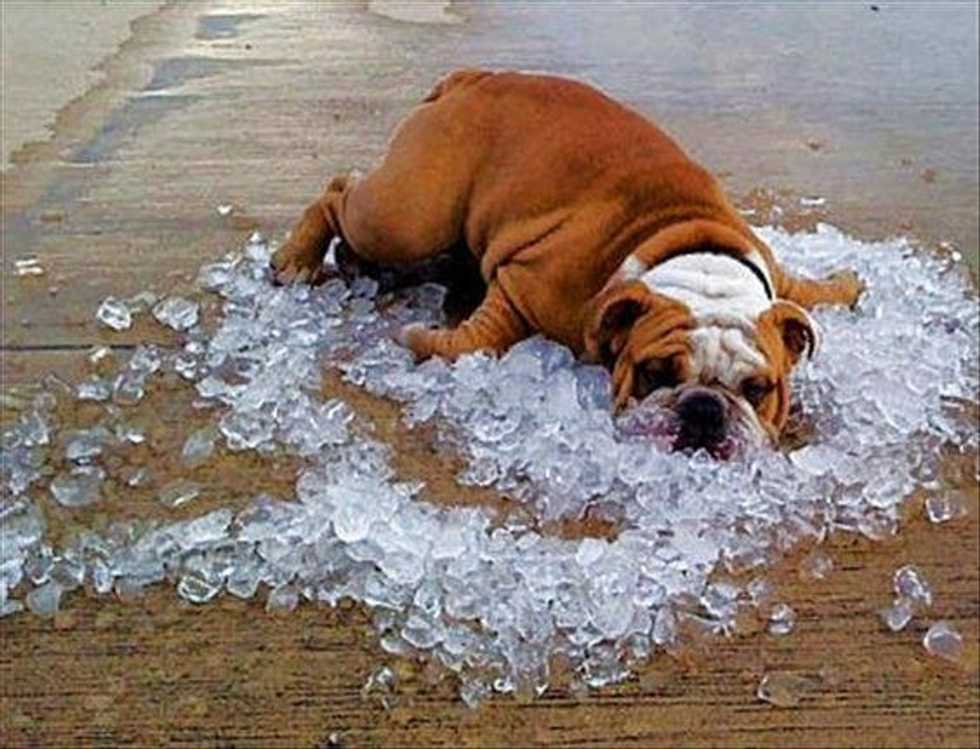 14 Reasons Why You Don't Like Hot Weather