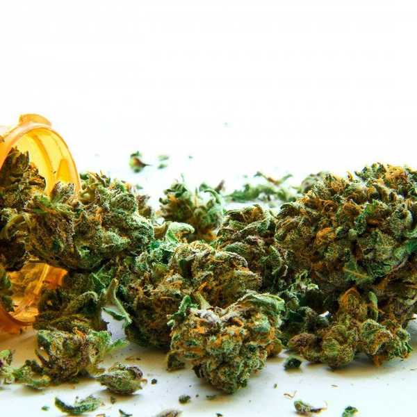Legalize It