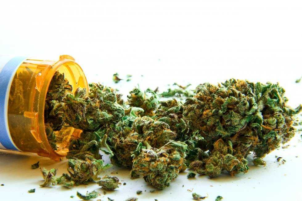 Legalize It