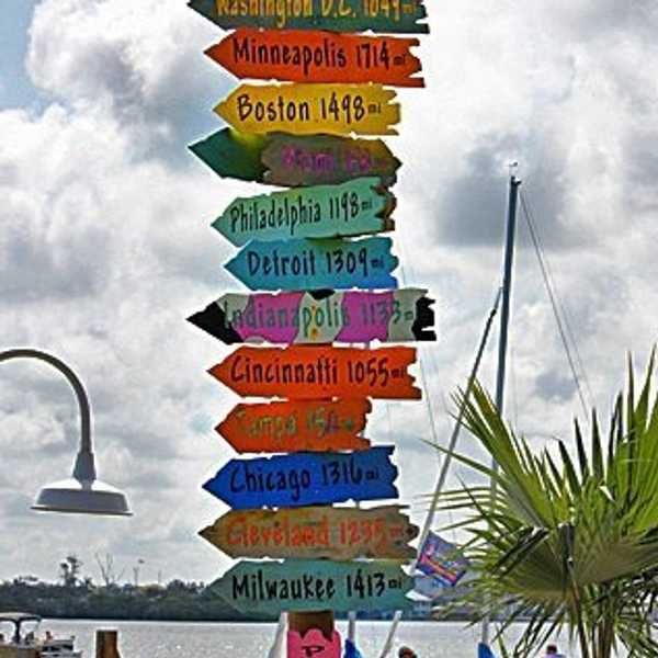 To Gap Year or Not