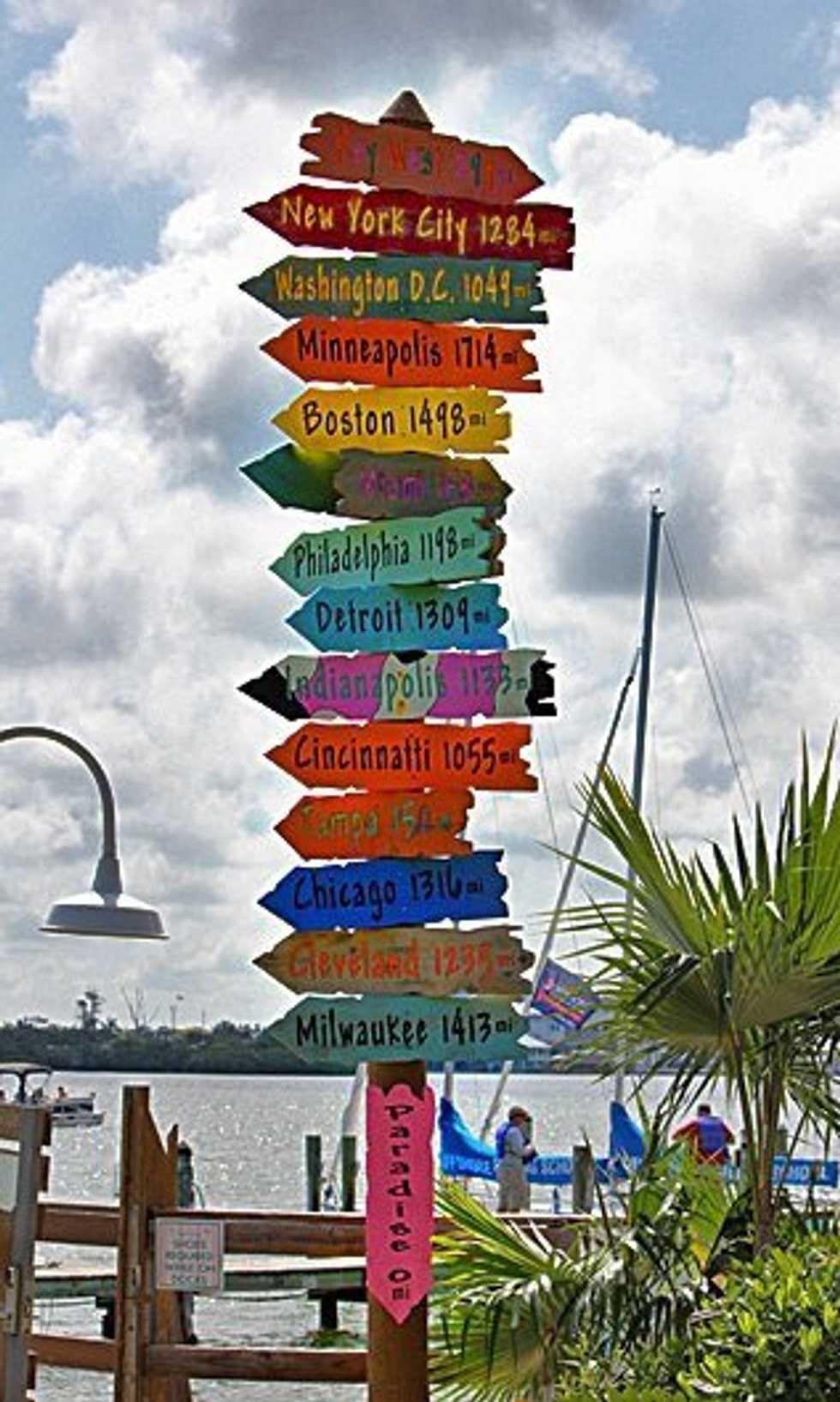 To Gap Year or Not