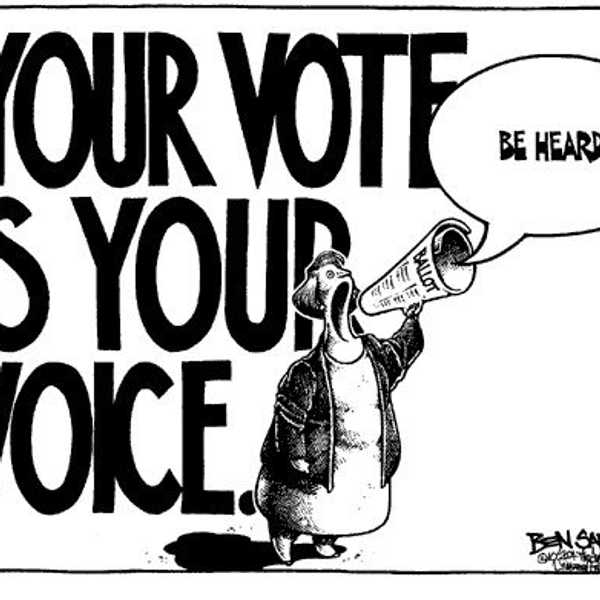 The Pool Of Political Information And Youth Voters