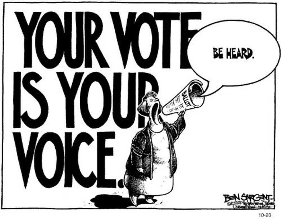 The Pool Of Political Information And Youth Voters