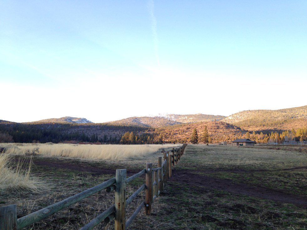 When Your Plans Don't Work Out the Way You Expect