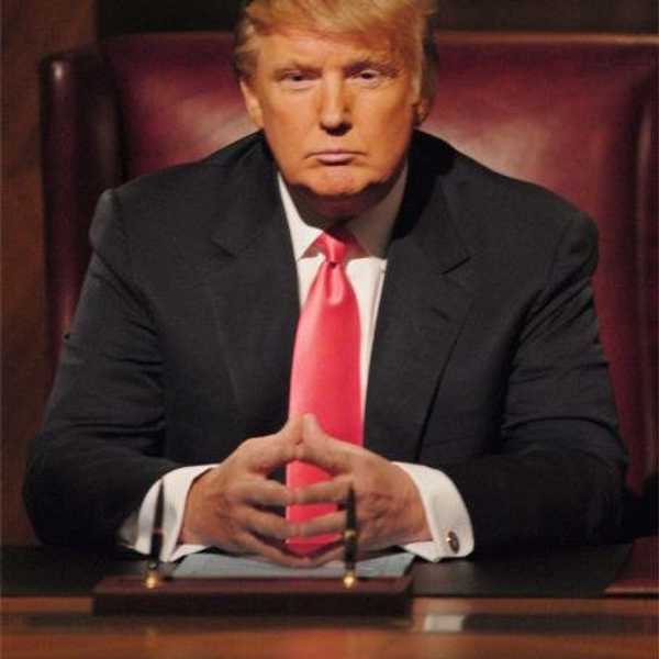 The Establishment Of Trumpism