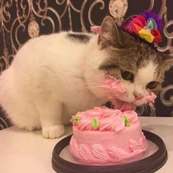 Here's To Birthdays
