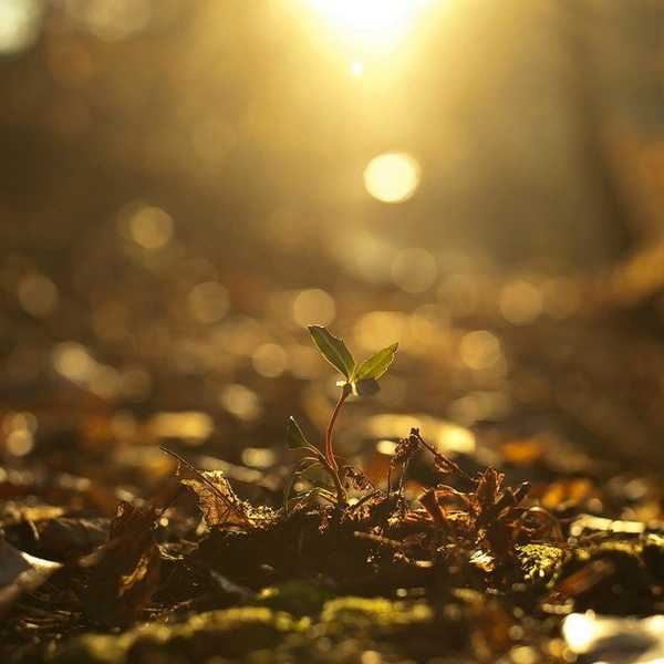 The Importance Of Starting Over (And How To Do Just That)