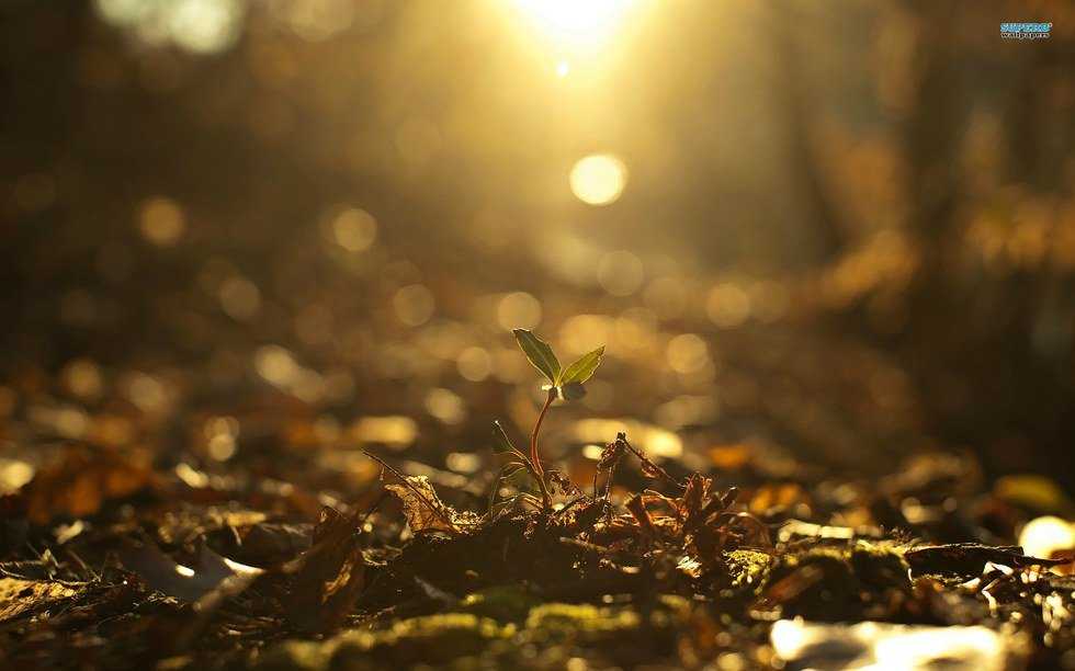 The Importance Of Starting Over (And How To Do Just That)