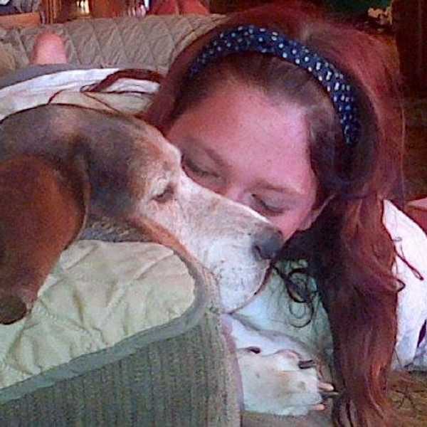 Why Basset Hounds Are The Best Dogs Ever