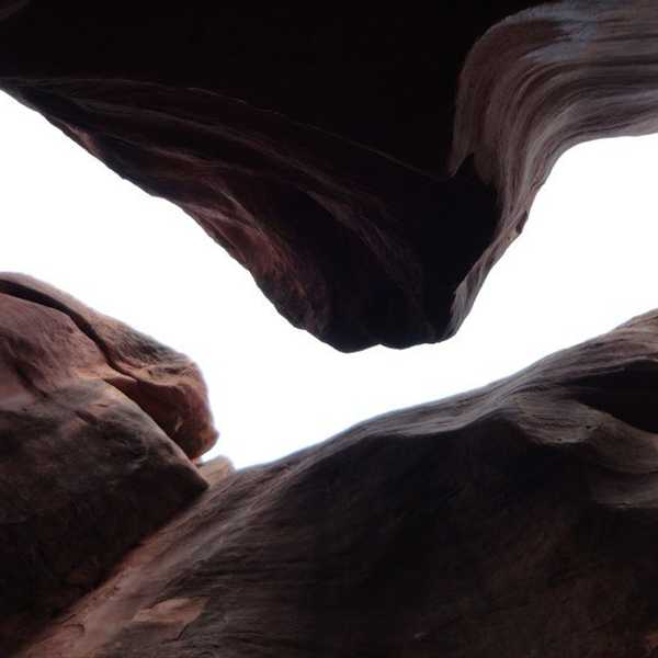 An Argument In Favor Of Wilderness Conservation