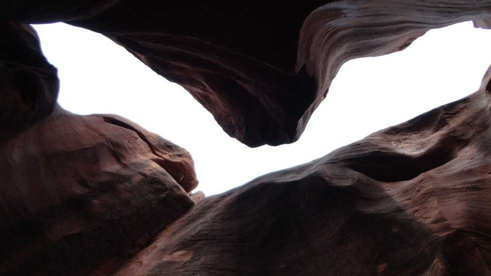 An Argument In Favor Of Wilderness Conservation