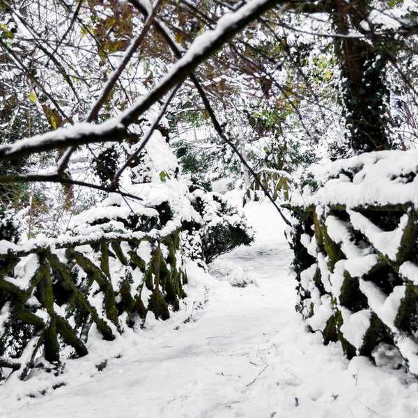 10 Things That Happen When You Change Climates