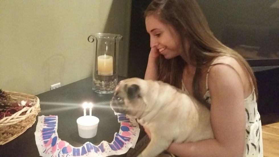 A Thank You Letter To My Dog