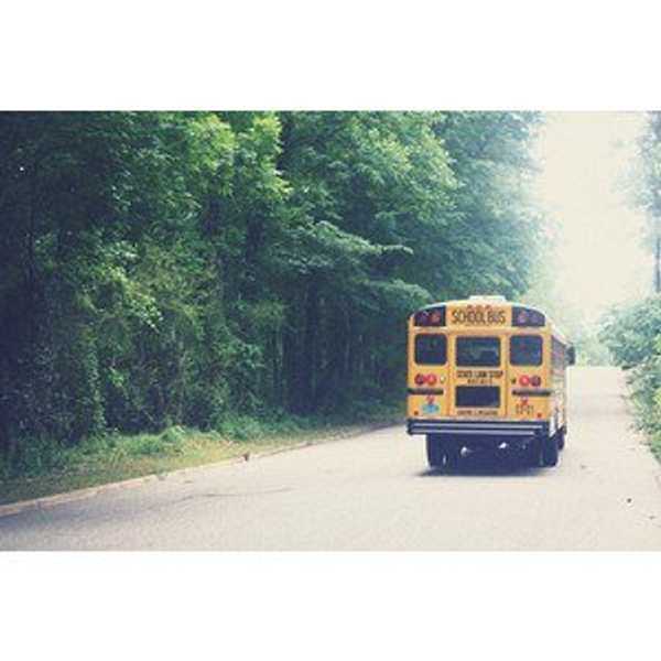 Should School End At Age 16 in The United States?