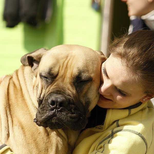 12 Reasons Why Your Pet Is The Best Friend You Could Ask For