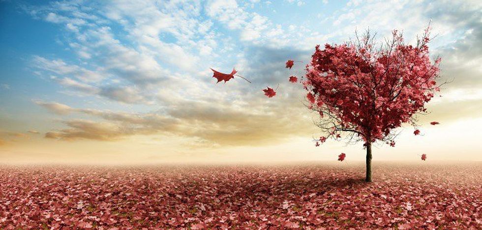 My Experience Of Unrequited Love... With My Cat