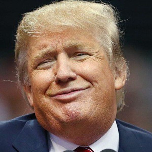 Life In The Trumpocalypse