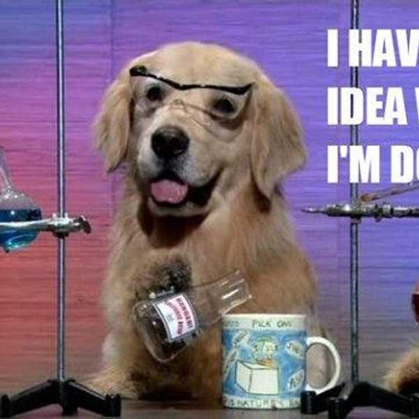15 Skills That Will Make Everyone Think You've Got Your Life Together