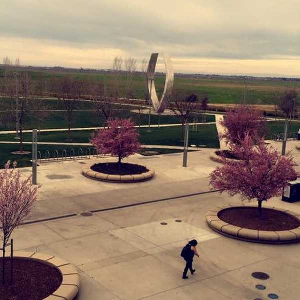 One Year Down, Three More To Go