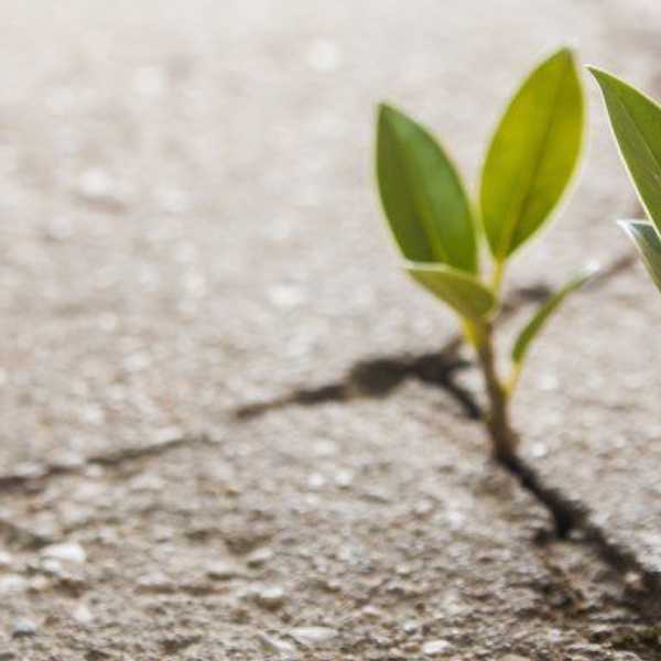 An Open Letter To Those Going Through Difficult Times