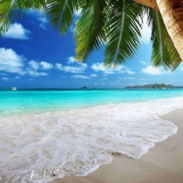 9 Best Islands To Visit This Summer