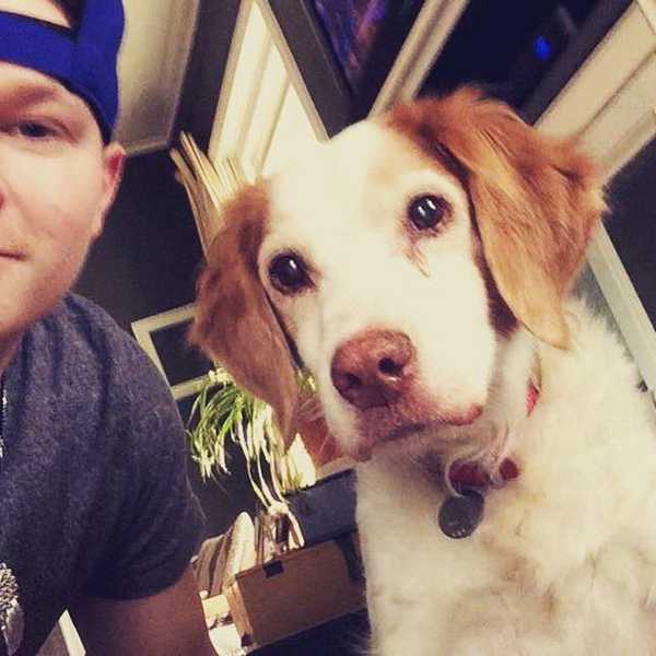 A Letter To My Old Dog