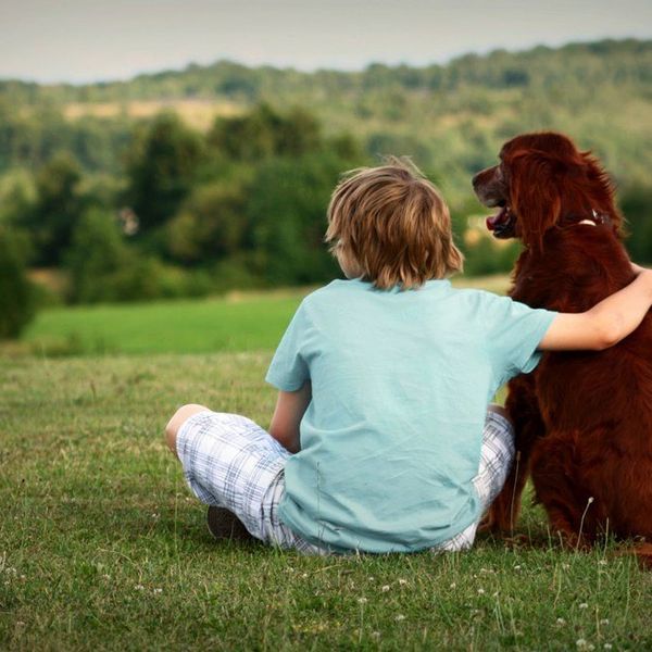 12 Reasons You Should Appreciate Dogs Even More