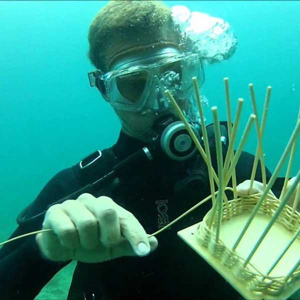 10 Things Everyone With An Abnormal Major Understands