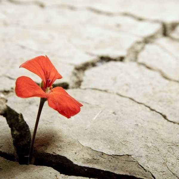 15 Quotes For When Life Gets Hard