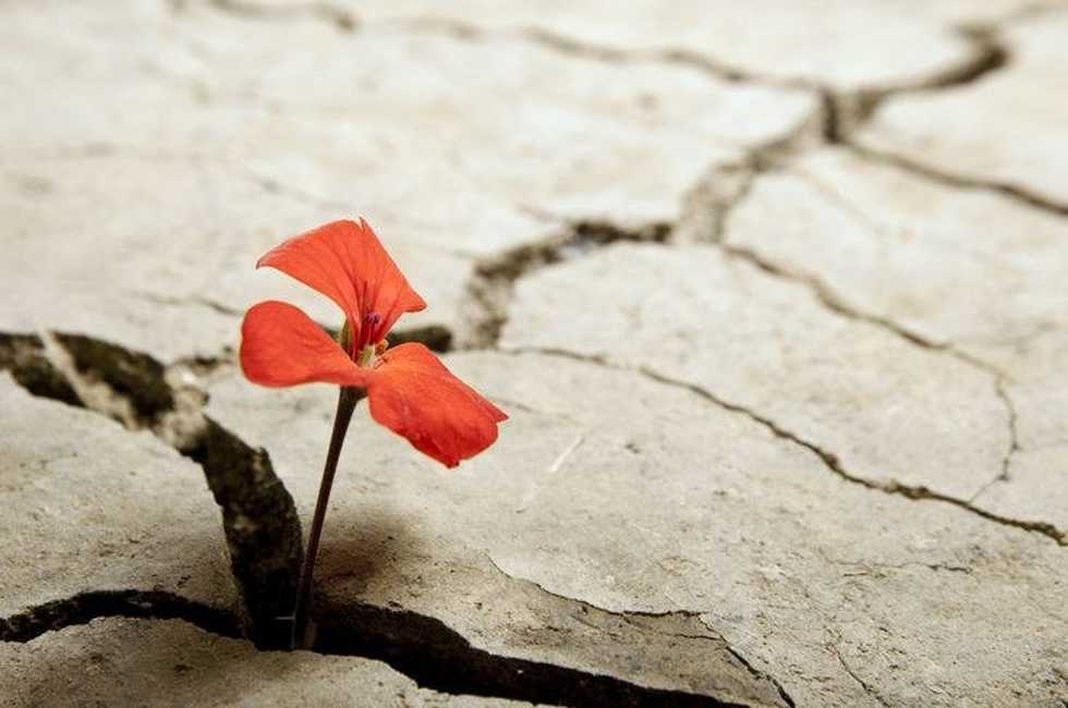 15 Quotes For When Life Gets Hard