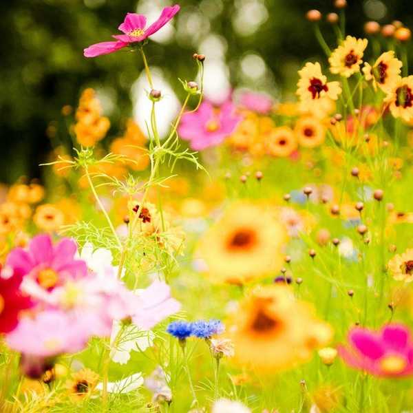 You Are Fearfully And Wonderfully Made