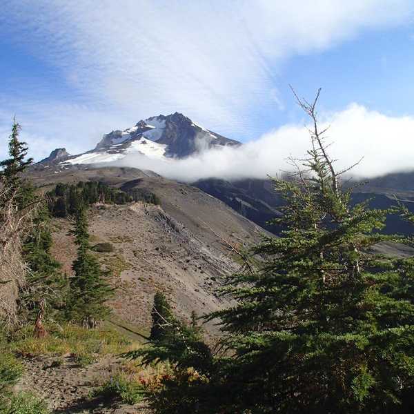 Wilderness Quotes