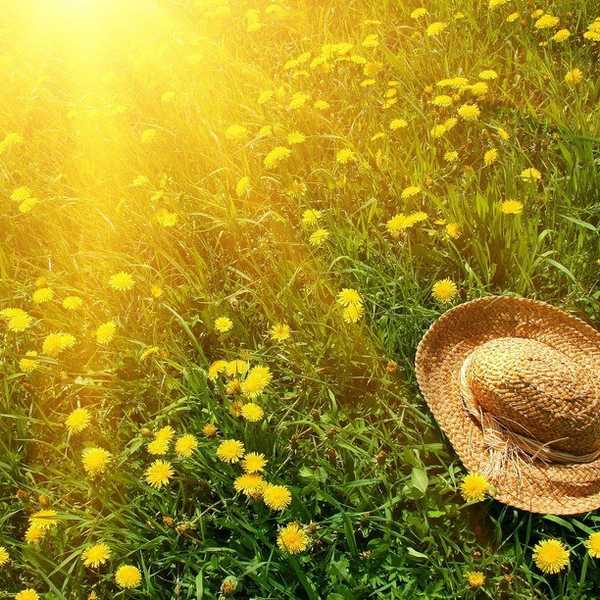 What Time Is It? Summertime