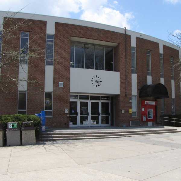 Oh Gibbons, You Will Be Missed