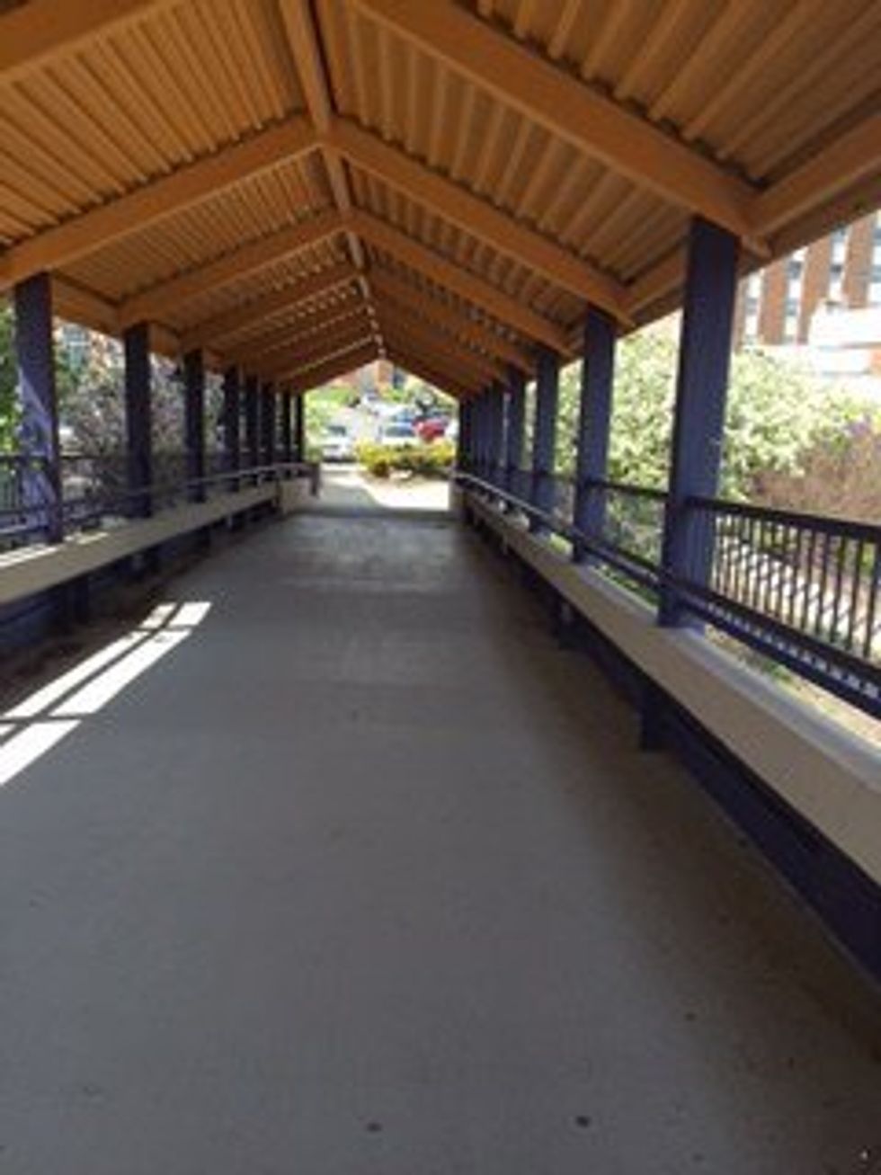 The Top 11 Things About Ashland University