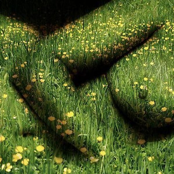 7 Simple Ways to Preserve Mother Earth