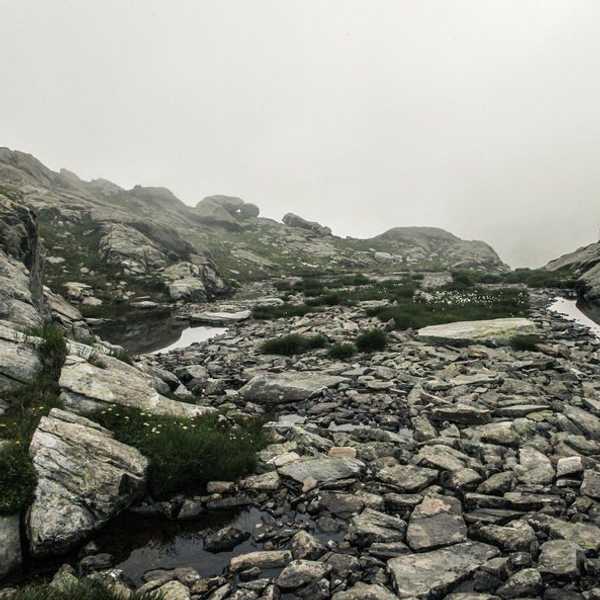 Interning (Not Studying) Abroad