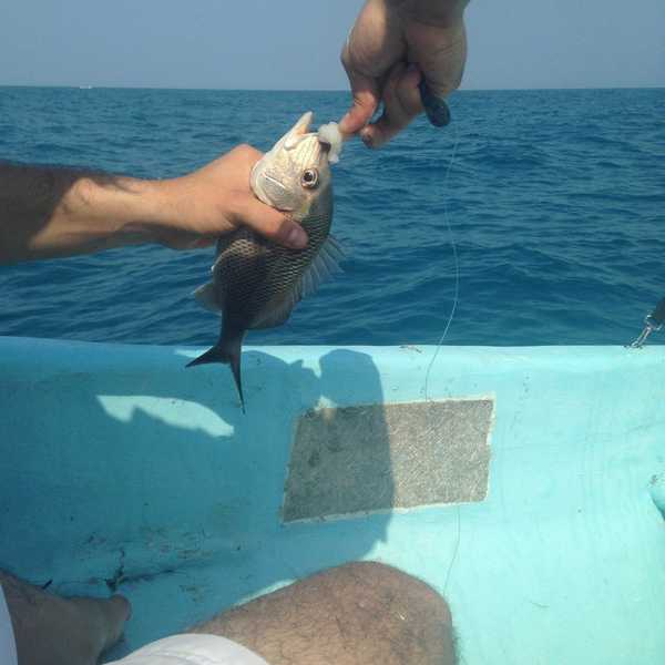 Why We Are Stagnant And What We Need To Change To Get Moving