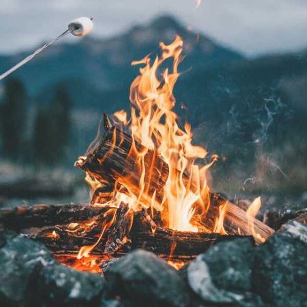 Little To No Cost Summer Activities For College Students