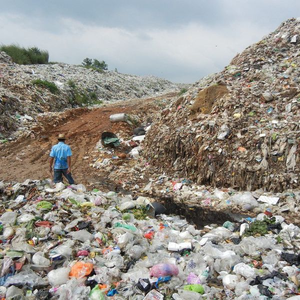 Waste-Free Living: An Investment For You And Me