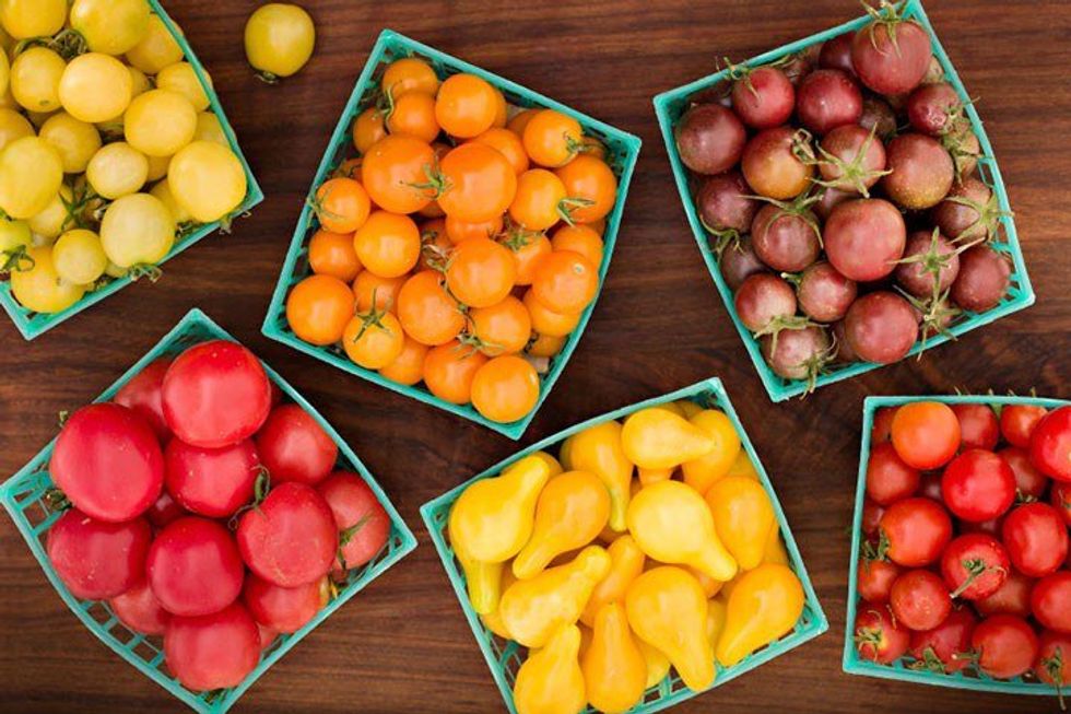 You Are What You Eat (Literally)