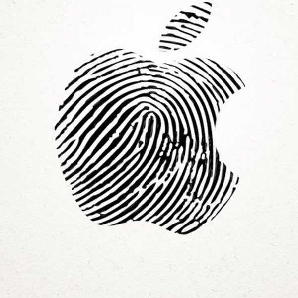 Privacy And The Government In The Apple Case