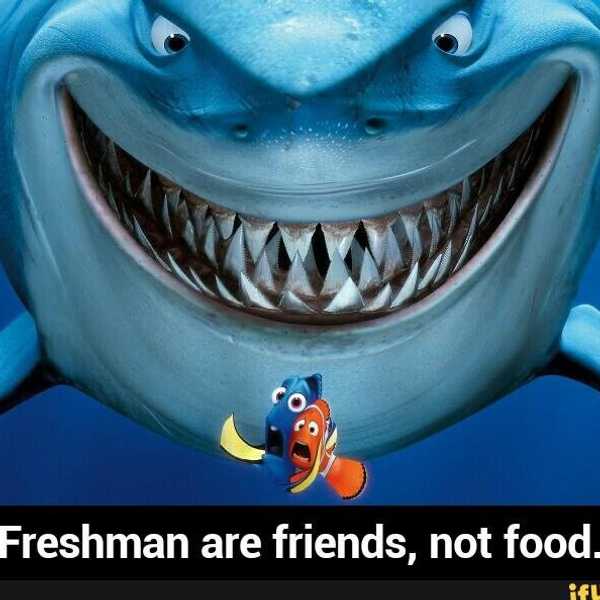 The Top 3 Things Your Freshman Year RA Wants You To Know