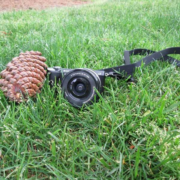 Life Through The Lens Of A Camera