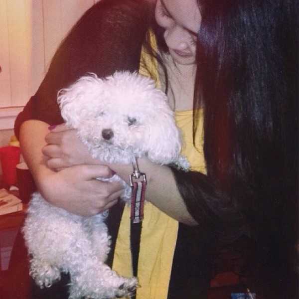 Confession Of An Animal Lover Who Has Never Had A Pet