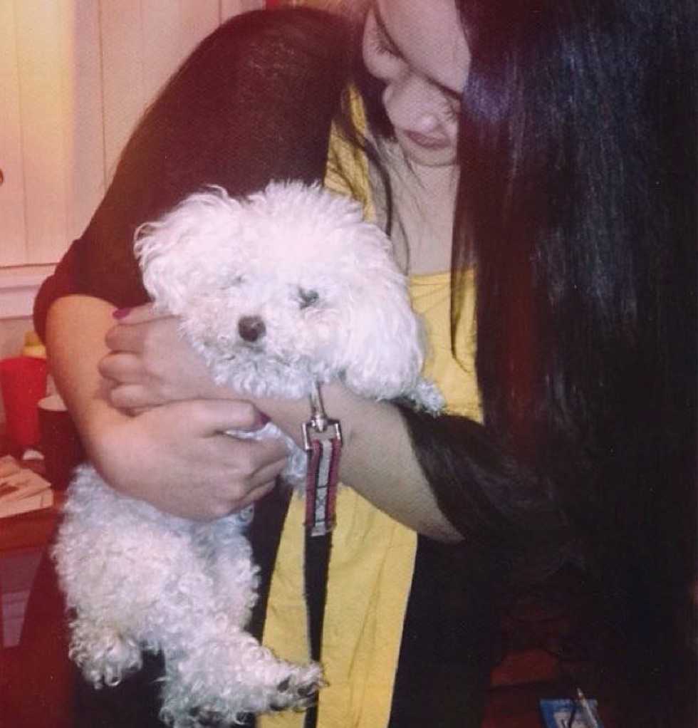 Confession Of An Animal Lover Who Has Never Had A Pet