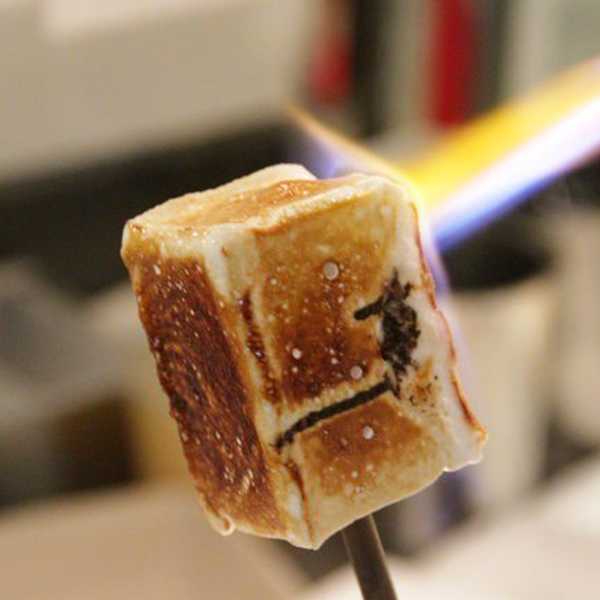 Summer Sweets of NYC