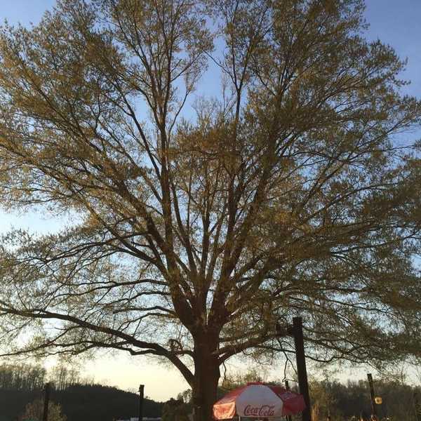 How Music Helps To Cleanse The Soul