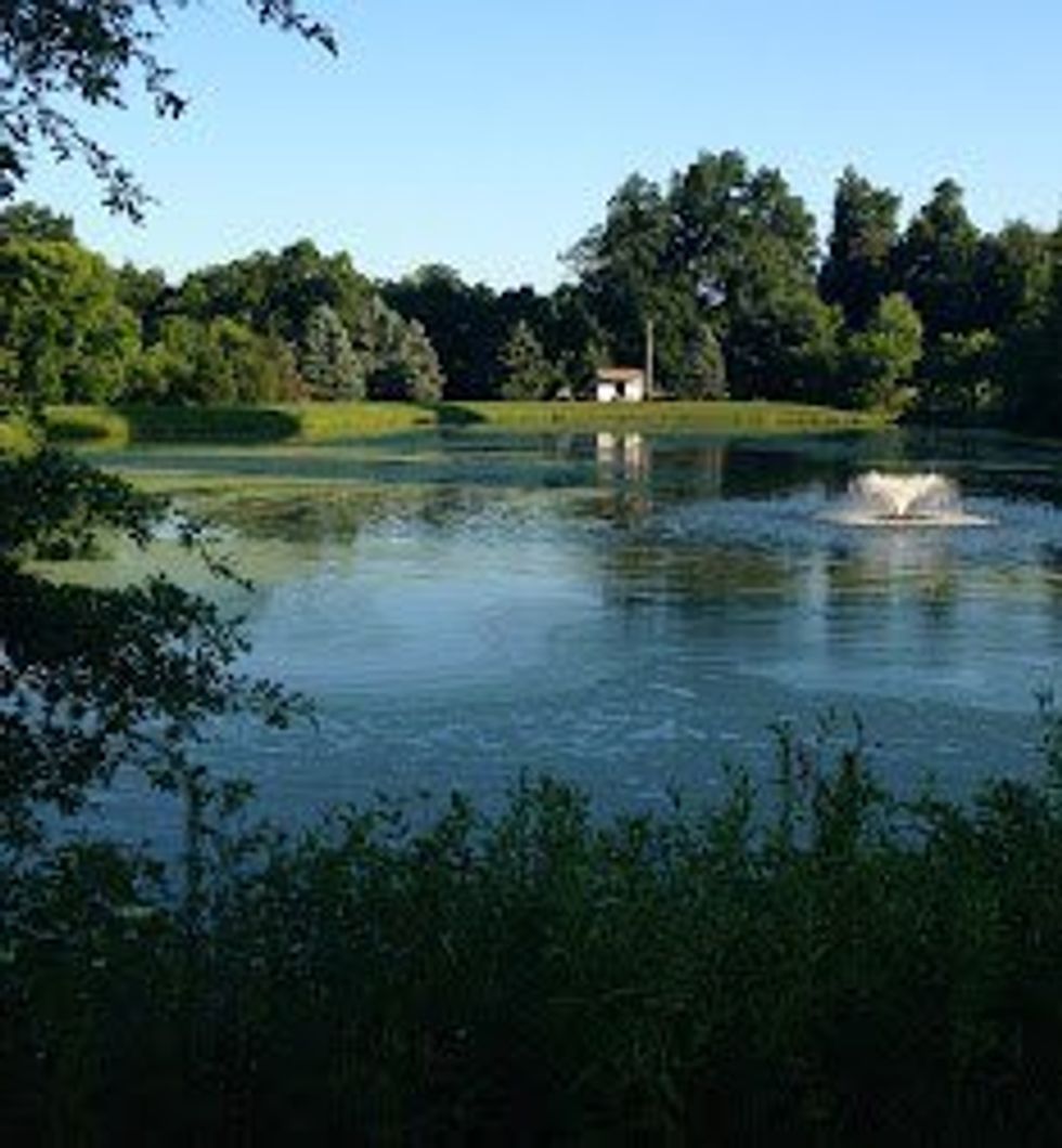 Why Summer Camps Are The Best Place To Work